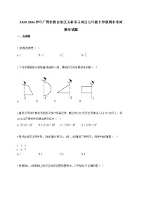 2025_2026学年广西壮族自治区玉林市玉州区七年级上学期期末考试数学试卷【附解析】