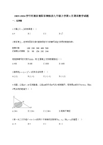 2025_2026学年河南省南阳市桐柏县九年级上学期1月期末数学试卷【附解析】