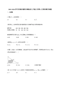 2025_2026学年河南省南阳市桐柏县九年级上学期1月期末数学试卷【附解析】
