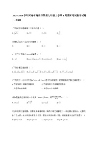 2025_2026学年河南省商丘市联考九年级上学期1月期末考试数学试卷【附解析】
