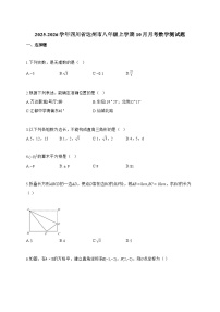 2025_2026学年四川省达州市八年级上学期10月月考数学测试卷【附解析】