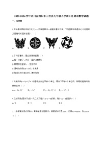 2025_2026学年四川省绵阳市三台县九年级上学期1月期末数学试卷【附解析】