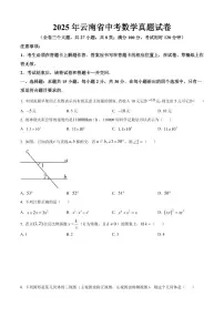 2025年云南省中考数学真题试卷+精品解析