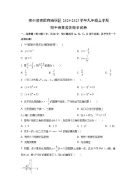 贵州省贵阳市南明区2024-2025学年九年级上学期期中质量监测数学试卷（学生版）