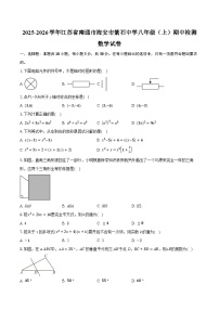 2025-2026学年江苏省南通市海安市紫石中学八年级（上）期中检测数学试卷（含答案+解析）