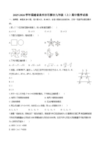 2025-2026学年福建省泉州市石狮市九年级（上）期中数学试卷-自定义类型