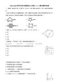 北京市朝阳区九年级上学期期末考试数学试卷-A4