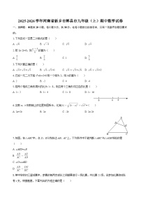 2025-2026学年河南省新乡市辉县市九年级（上）期中数学试卷-自定义类型