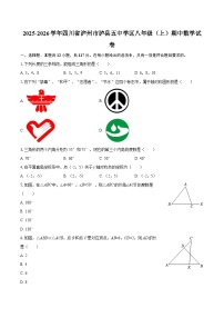 2025-2026学年四川省泸州市泸县五中学区八年级（上）期中数学试卷-自定义类型