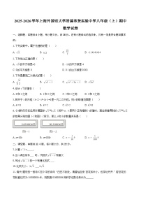 2025-2026学年上海外国语大学附属奉贤实验中学八年级（上）期中数学试卷-自定义类型