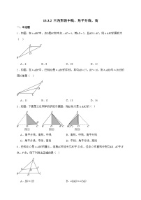初中数学人教版（2024）八年级上册（2024）13.2.2 三角形的中线、角平分线、高练习