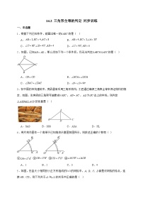 初中数学人教版（2024）八年级上册（2024）14.2 三角形全等的判定同步训练题
