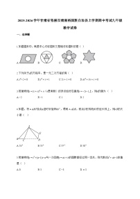 2025_2026学年甘肃省张掖市肃南裕固族自治县上学期期中考试九年级数学试题-附答案