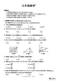 河南省平顶山市第十五中学校2025-2026学年上学期九年级数学月考卷