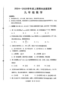 河南省周口市川汇区2024-2025学年九年级上学期末考试数学试题