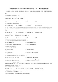 安徽省池州市2025-2026学年七年级（上）期中数学试卷