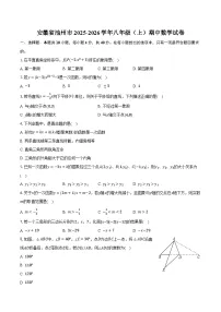 安徽省池州市2025-2026学年八年级（上）期中数学试卷
