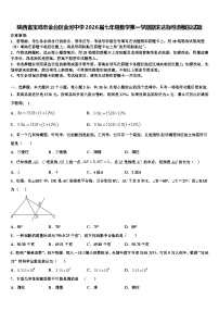 陕西省宝鸡市金台区金河中学2026届七年级数学第一学期期末达标检测模拟试题含解析