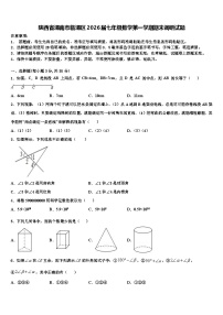 陕西省渭南市临渭区2026届七年级数学第一学期期末调研试题含解析