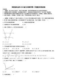 陕西省岐山县2026届七年级数学第一学期期末经典试题含解析
