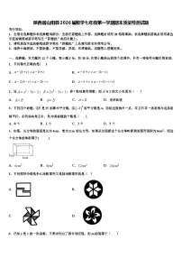 陕西省山阳县2026届数学七年级第一学期期末质量检测试题含解析