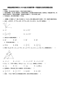 陕西省咸阳市陕科大2026届七年级数学第一学期期末达标检测模拟试题含解析