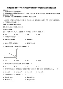 陕西省榆林市第一中学2026届七年级数学第一学期期末达标检测模拟试题含解析