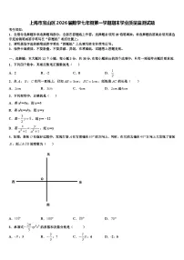 上海市宝山区2026届数学七年级第一学期期末学业质量监测试题含解析