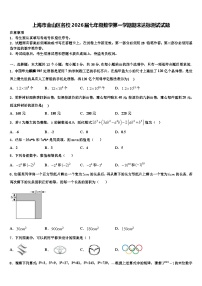 上海市金山区名校2026届七年级数学第一学期期末达标测试试题含解析