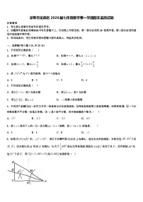 深圳市龙岗区2026届七年级数学第一学期期末监测试题含解析