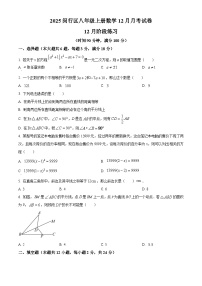 上海市闵行区2025-2026学年八年级上学期数学12月月考试卷（含答案+解析）