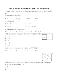 2025-2026学年江西省景德镇市八年级（上）期中数学试卷-自定义类型