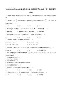 2025-2026学年山东省青岛市市南区超银中学八年级（上）期中数学试卷-自定义类型
