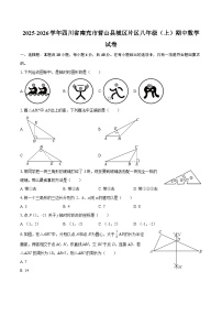 2025-2026学年四川省南充市营山县城区片区八年级（上）期中数学试卷-自定义类型