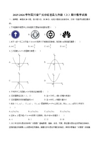 2025-2026学年四川省广元市旺苍县九年级（上）期中数学试卷-自定义类型
