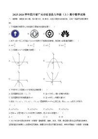 2025-2026学年四川省广元市旺苍县九年级（上）期中数学试卷-自定义类型