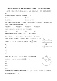 2025-2026学年江苏省扬州市高邮市九年级（上）期中数学试卷-自定义类型