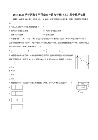 2025-2026学年河南省平顶山市叶县九年级（上）期中数学试卷-自定义类型