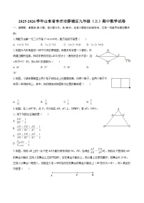 2025-2026学年山东省枣庄市薛城区九年级（上）期中数学试卷-自定义类型