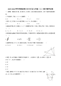 2025-2026学年河南省周口市川汇区九年级（上）期中数学试卷-自定义类型