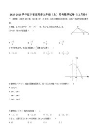 2025-2026学年辽宁省沈阳市九年级（上）月考数学试卷（12月份）-自定义类型