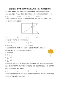 2025-2026学年贵州省毕节七中九年级（上）期中数学试卷-自定义类型