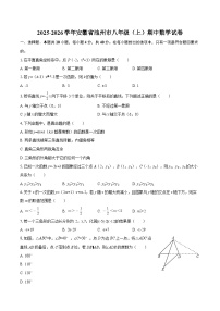 2025-2026学年安徽省池州市八年级（上）期中数学试卷-自定义类型