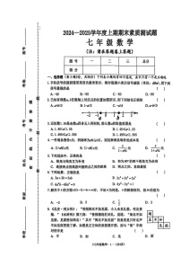 河南省驻马店市确山县2024-2025学年七年级上学期1月期末数学试题