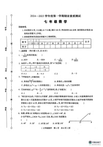 河南省驻马店市西平县2024-2025学年七年级上学期1月期末数学试卷