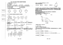 黑龙江省哈尔滨道里区2024-2025学年九年级上学期期末数学试题