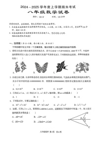 湖北省武汉市东西湖区2024-2025学年八年级上学期期末数学试卷