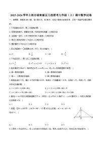 2025-2026学年上海市浦东新区几校联考九年级（上）期中数学试卷（含答案+解析）