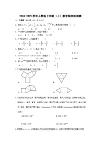 2024-2025学年人教版七年级（上）数学期中检测卷无答案