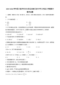 2025-2026学年四川省泸州市江阳区老窖天府中学七年级上学期期中数学试题-自定义类型